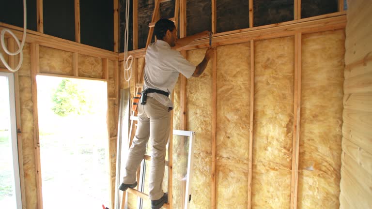 Types of Insulation We Offer in Pascagoula, MS